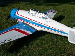 Modelle unserer Mitglieder